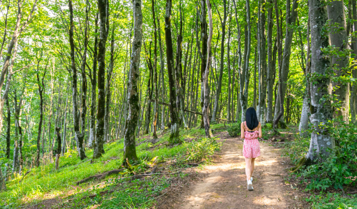 person walking through forest on trail